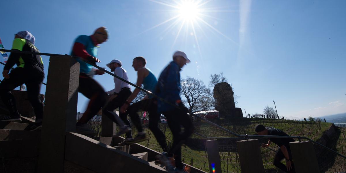 79.400 Stufen, 84,39 Kilometer Streckenlänge: Damit ist der Mt. Everest Treppenmarathon im sächsischen Radebeul der extremste Treppenlauf der Welt. Foto: picture alliance
