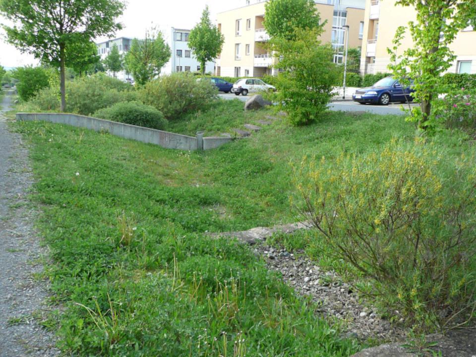 Ein Mulden Rigolen System____