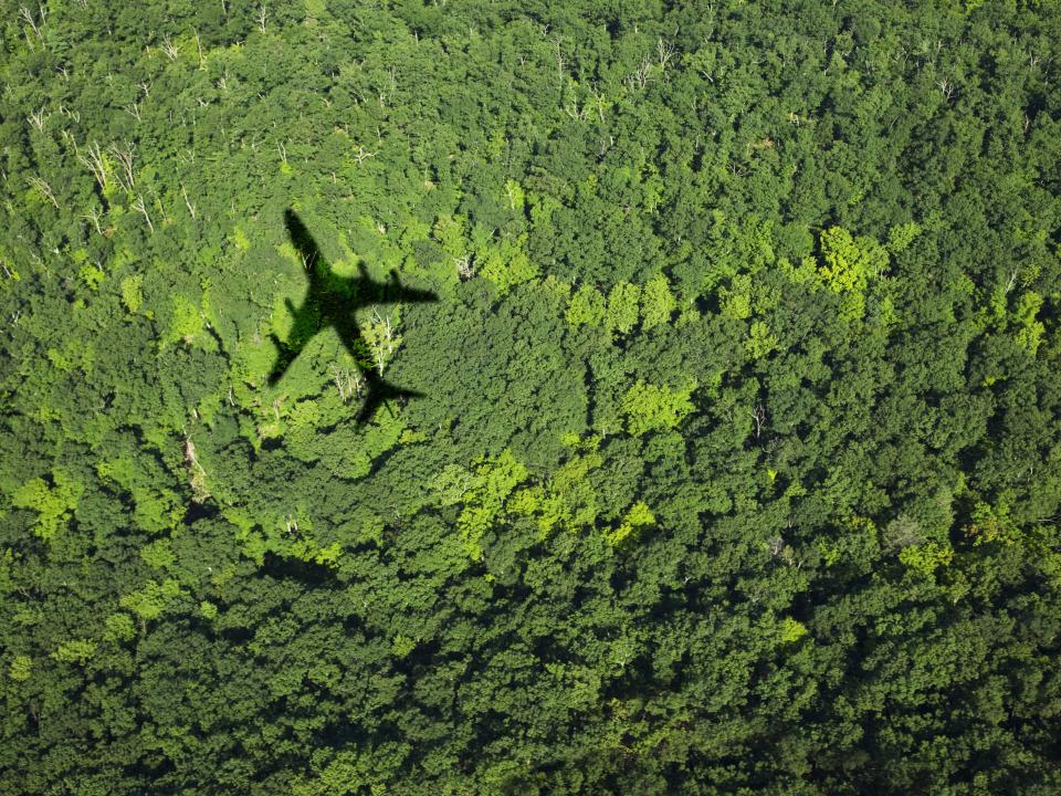 Flugzeug wirft Schatten auf einen grünen Wald____