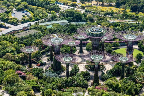 Singapur ist mit seinen Gärten, begrünten Dächern und Fassaden eine der grünsten Städte der Welt mit einem klaren Statement für Nachhaltigkeit. Foto: AdobeStock