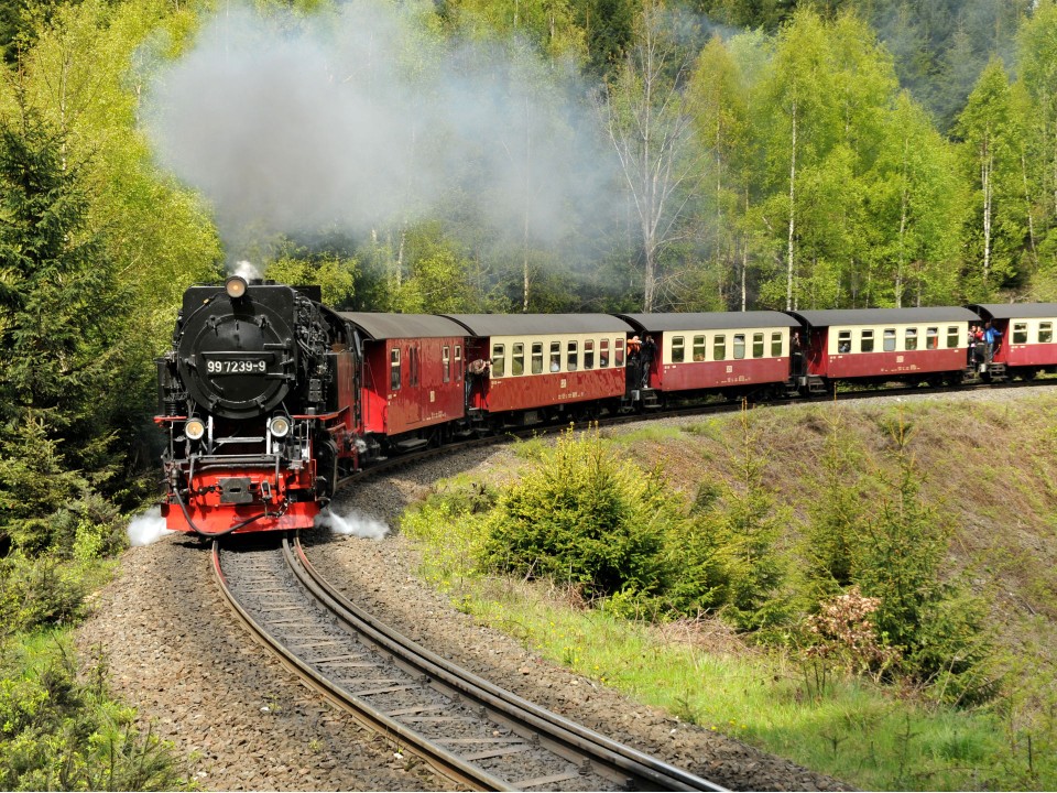 Mit der Dampflokomotive durch den Harz: Die Harzer Schmalspurbahn ist weder schnell noch leise, dafür aber eine nostalgische Rarität. Foto: Adobe Stock____