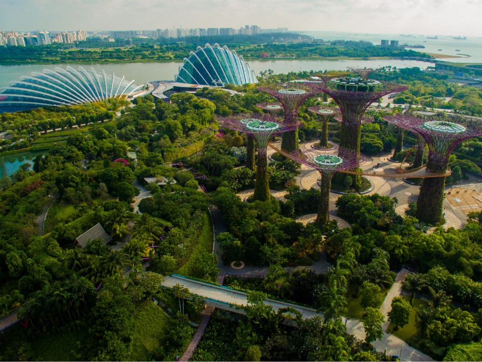 Singapur ist bekannt für seine „Supertrees“ in den Gardens by the Bay, riesige Strukturen, die mit Tausenden von Pflanzen und Blumen bewachsen sind und die städtische Biodiversität fördern. Foto: AdobeStock____