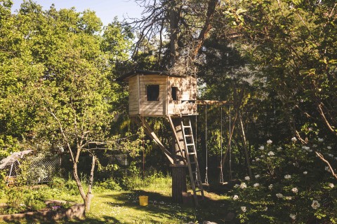 Der Traum eines jeden Kindes: Ein eigenes Baumhaus im Garten. Foto: Getty Images