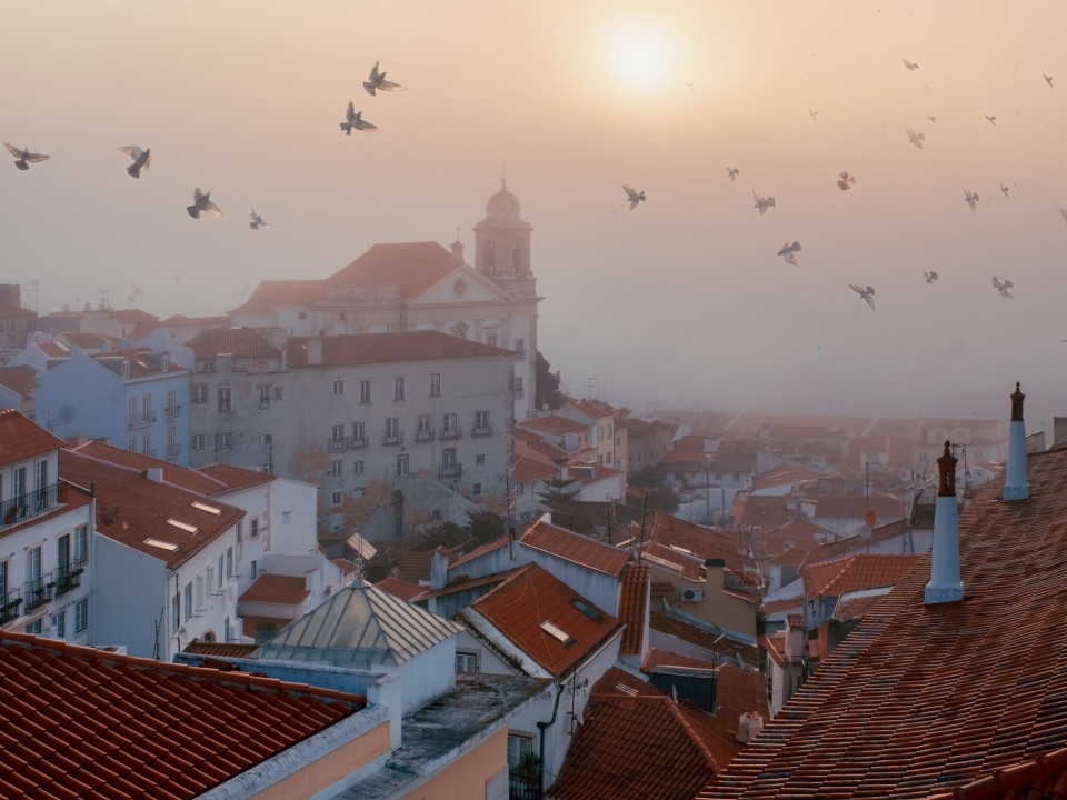 Blick über die Dächer Lissabons____
