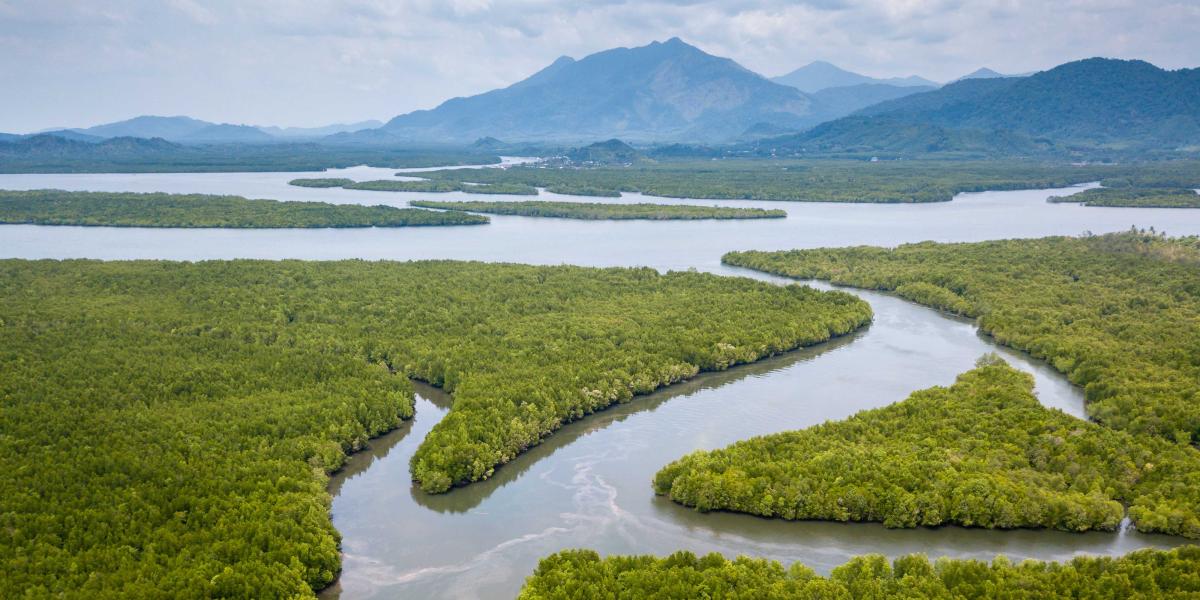 Schon bald sollen die ersten Behörden in Indonesiens neue Hauptstadt Nusantara im Dschungel Borneos umziehen. Foto: Adobe Stock