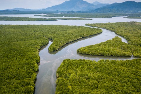 Schon bald sollen die ersten Behörden in Indonesiens neue Hauptstadt Nusantara im Dschungel Borneos umziehen. Foto: Adobe Stock