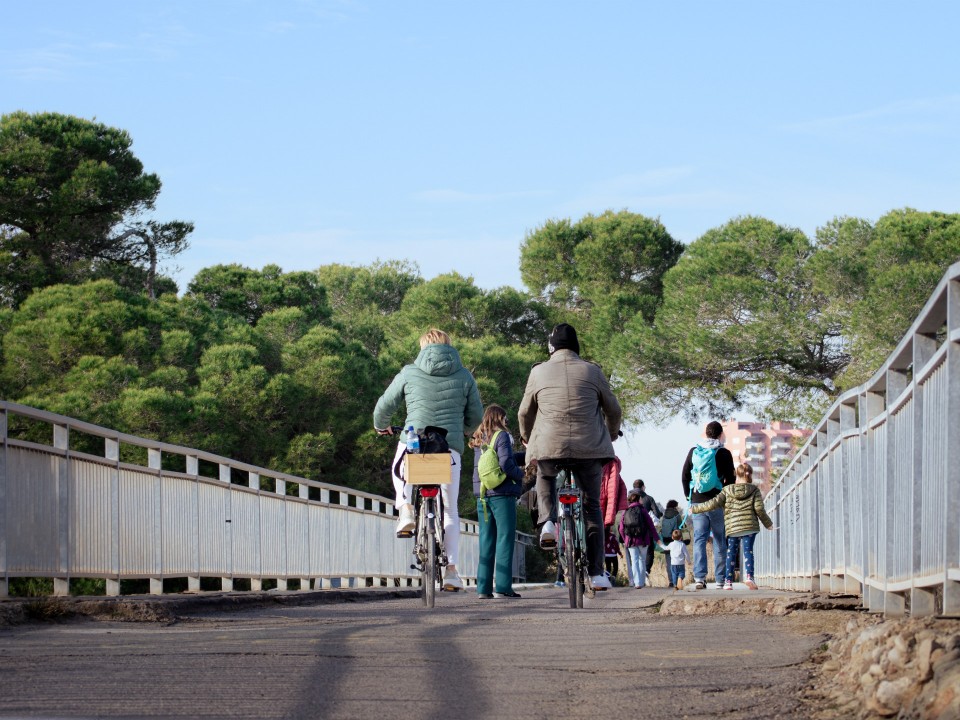 Radfahrer fahren auf einer Brücke, im Hintergrund Bäume.____