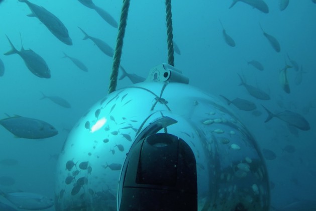Die Hai-Kamera. Foto: Frying Pan Tower