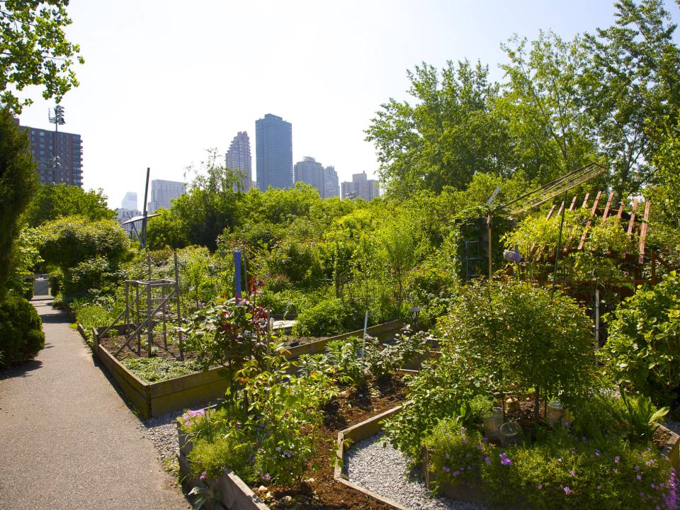 Garten in der Stadt____