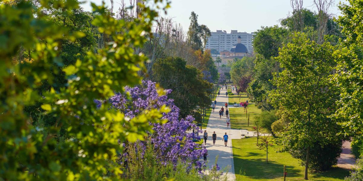 Menschen gehen in Valencia spazieren, die Stadt ist sehr grün.