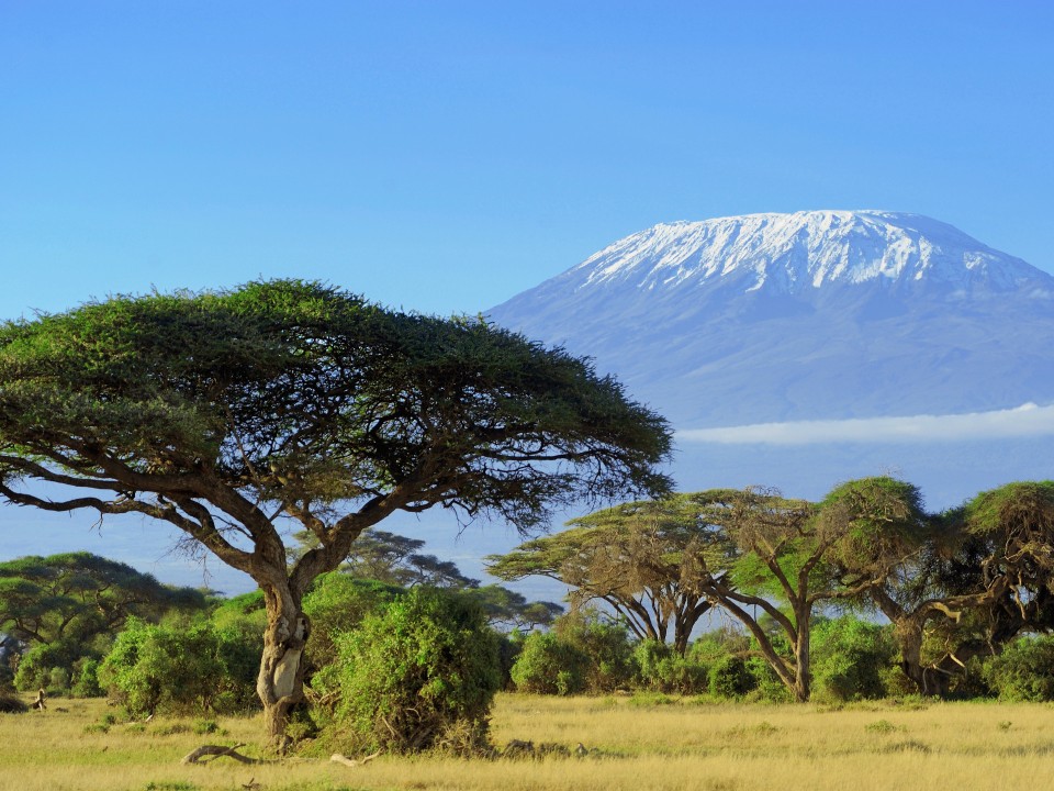 Der Kibo im Kilimandscharo-Massiv____