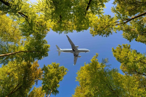 Laut der Luftfahrtbranche könnte klimaneutrales Fliegen bis 2050 möglich sein. Foto: Adobe Stock