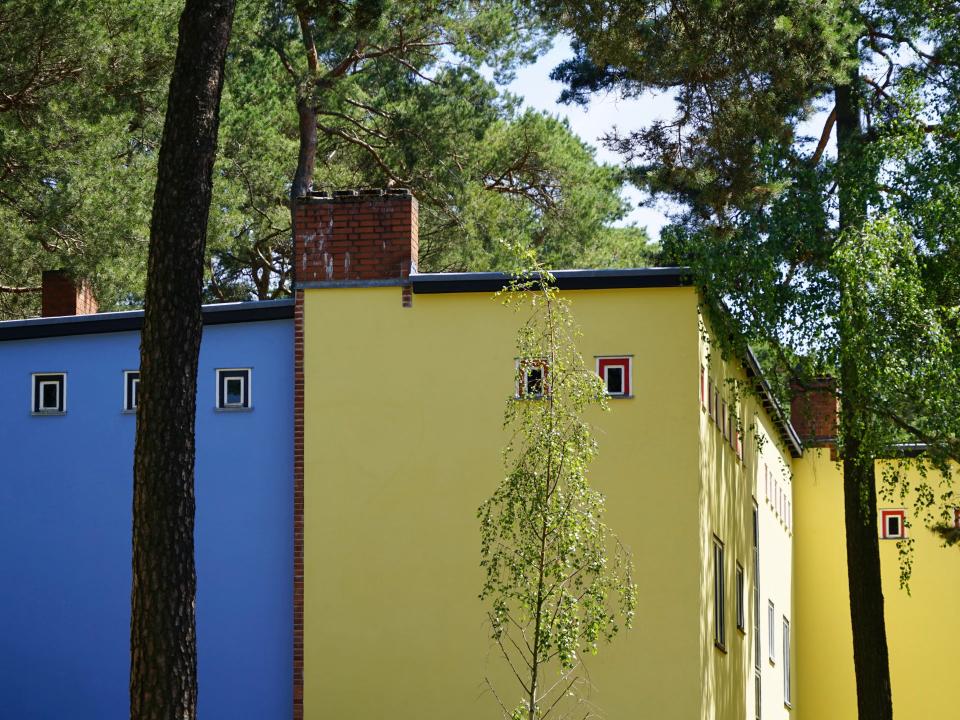 Der Grund dafür, dass die Waldsiedlung in Berlin-Zehlendorf auch Papageiensiedlung genannt wird, ist unverkennbar. Foto: Adobe Stock____