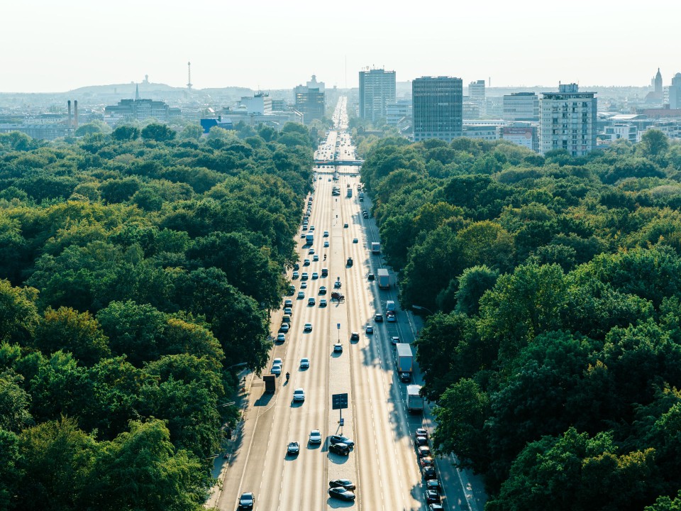 In größeren Parkarealen fühlen sich Bäume schon gleich wohler, wie zum Beispiel im Berliner Tiergarten. Foto: Getty Images____