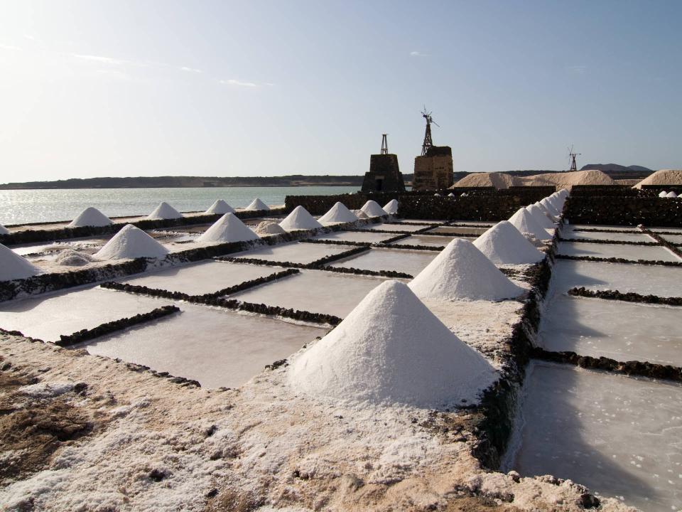Wohin mit dem Salz? Fließt es einfach zurück ins Meer, schadet es der örtlichen Flora und Fauna. Foto: Adobe Stock____