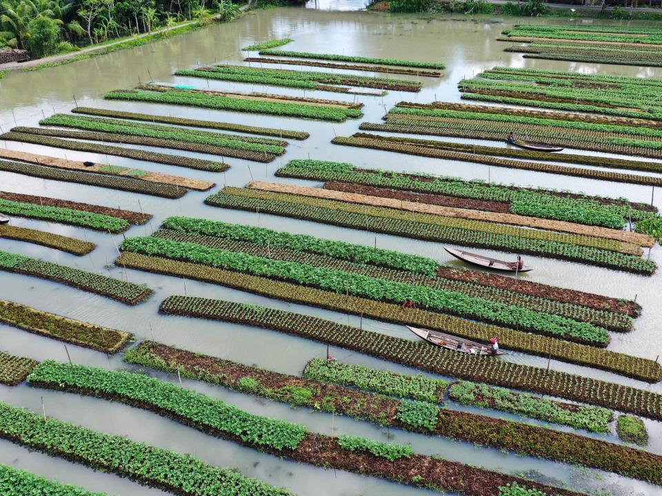 Schwimmende Bete auf dem Wasser, dazwischen Personen auf Booten.____