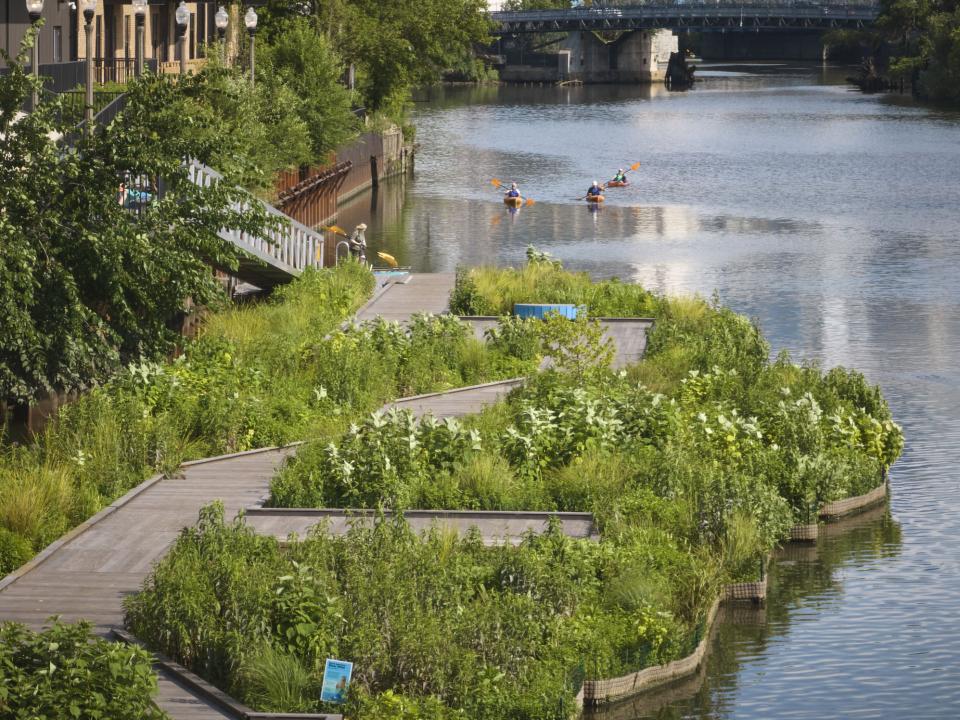 Eine Parkanlage auf dem Chicago River, im Hintergrund Menschen, die paddeln.____