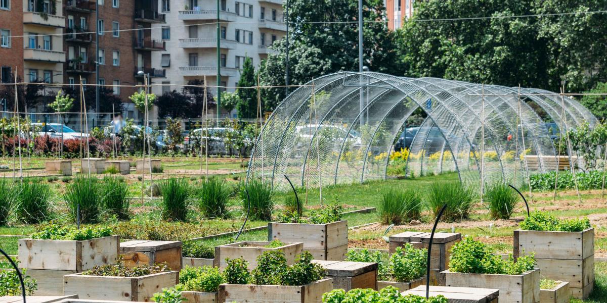 Beim Urban Farming werden Lebensmittel direkt in der Stadt produziert. Foto: Adobe Stock