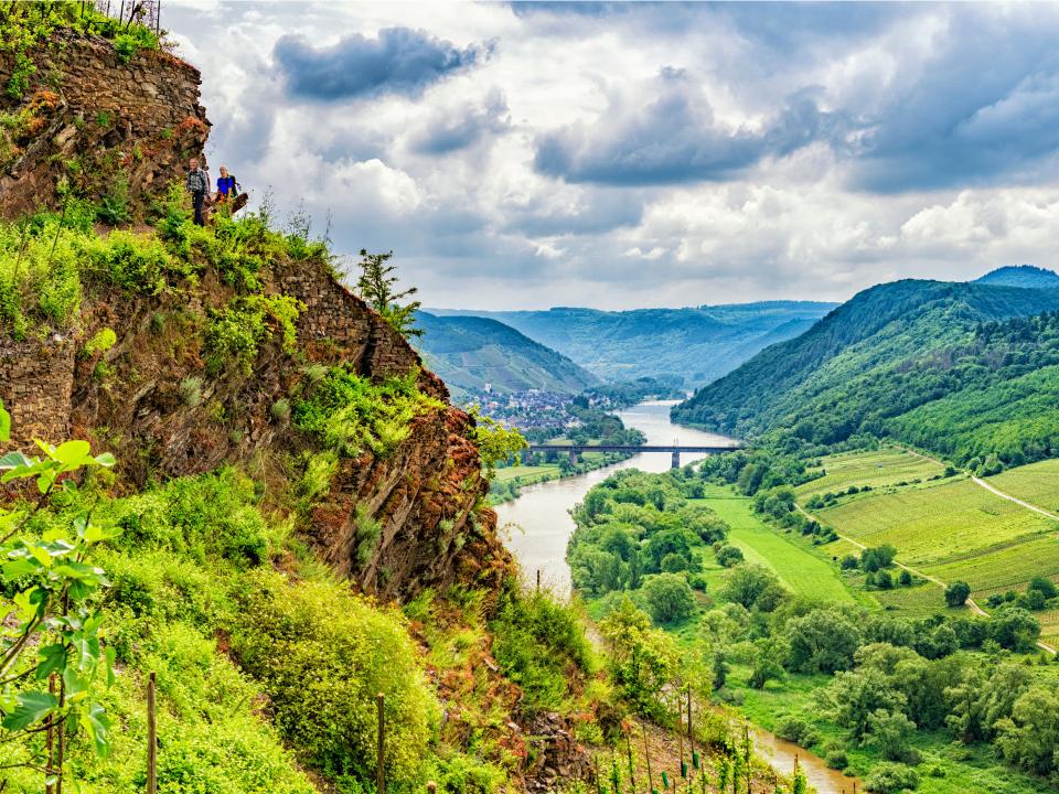Steilhang eines grünen Weinberges über dem Fluss und Weinbergen im Hintergrund____