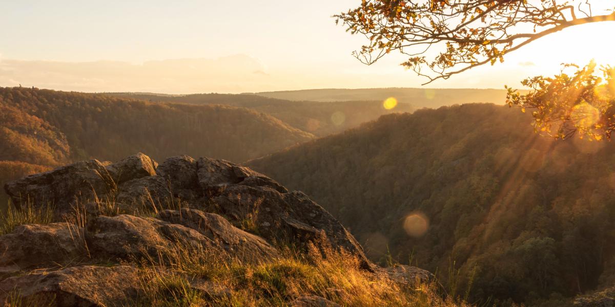 Eine Felsvorsprung vor waldbedeckten Hügel im Abendlicht