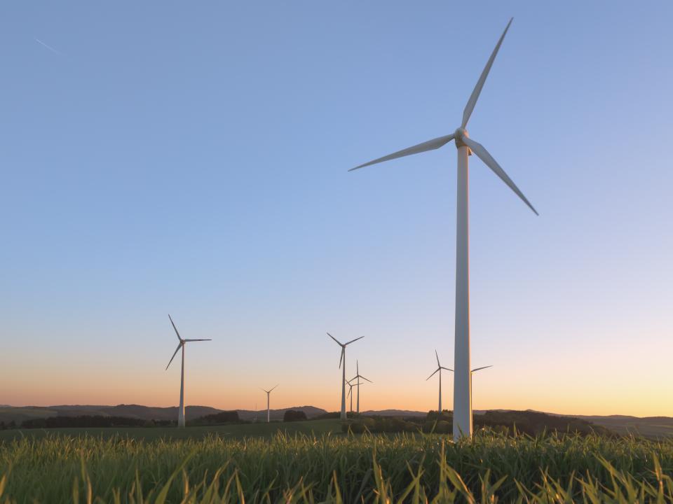 Windräder auf einem Feld.____