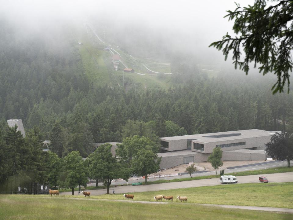 Moderne Gebäude im Nebel vor bewaldeten Hügeln, Kühe auf der Wiese im Vordergrund.____