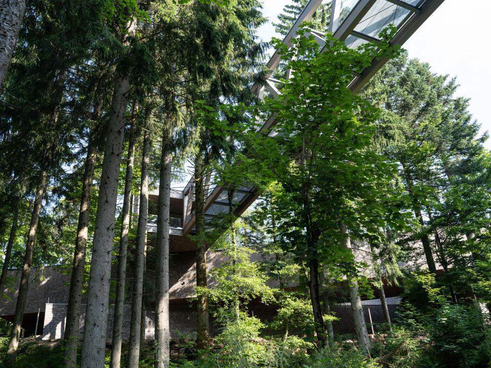 Gehweg inmitten von hohen Bäumen, der zu einem Gebäude mit moderner Architektur führt.____