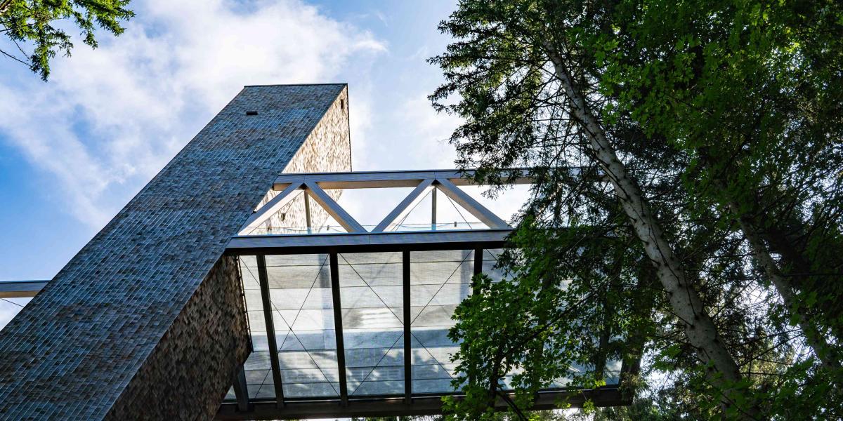 Glasbrücke über den Bäumen, verbindet moderne Gebäude, blauem Himmel und grünen Blättern.