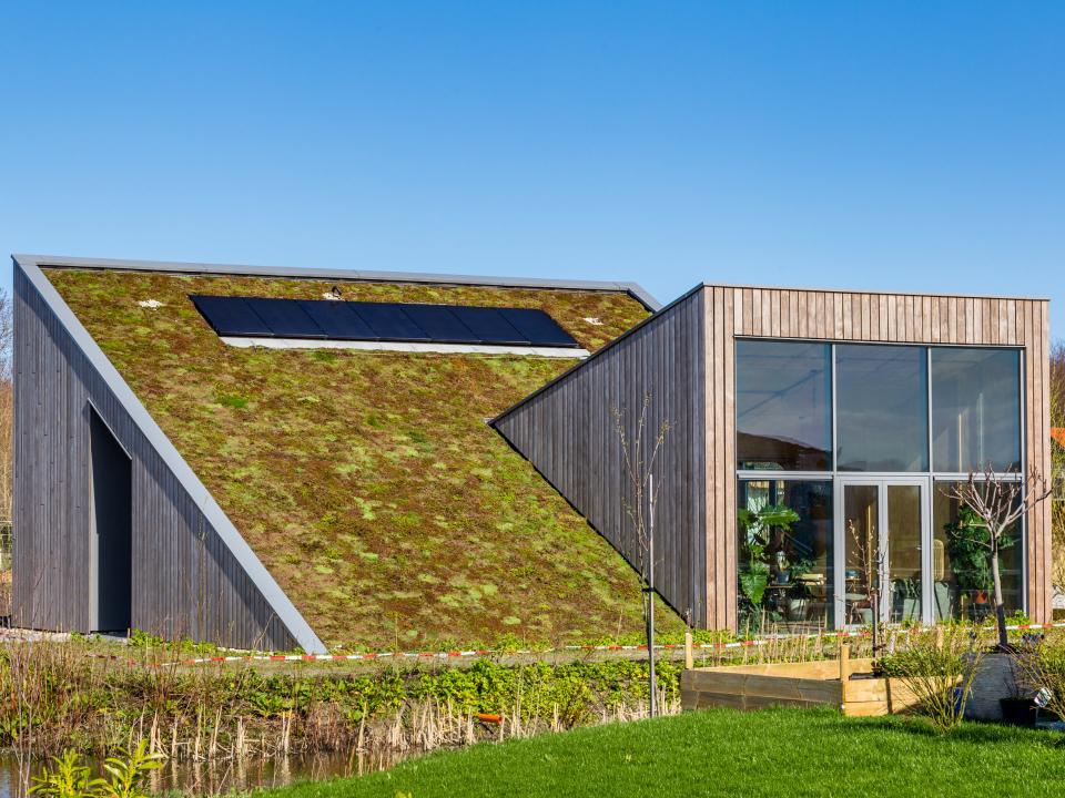 Modernes Gebäude zeigt Holzfassade, große Verglasung und eine schräge begrünte Dachfläche mit Solarmodulen bei klarem Himmel____