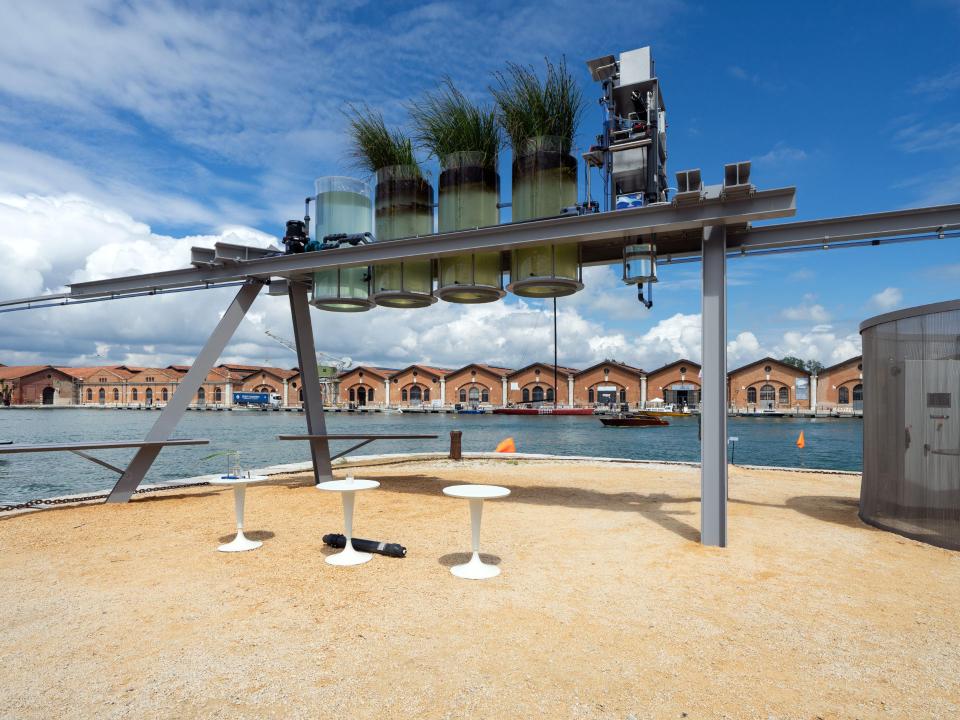 Technische Außeninstallation mit Zylindern voller Wasserpflanzen vor Hafenareal, Biennale Venedig 2025____