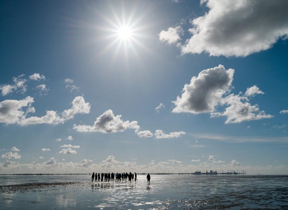 Gruppe bei Wattwanderung im Gegenlicht, Sonne strahlt durch blauen Himmel mit weißen Wolken über dem Wattenmeer.____