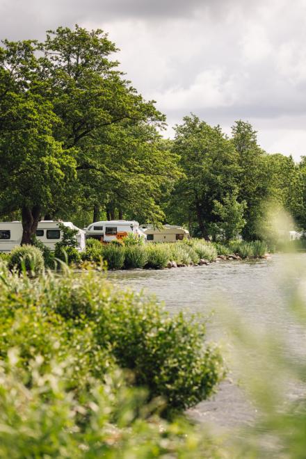 Wohnwagen unter großen Bäumen am Seeufer, umgeben von dichter Ufervegetation bei leicht bewölktem Himmel.