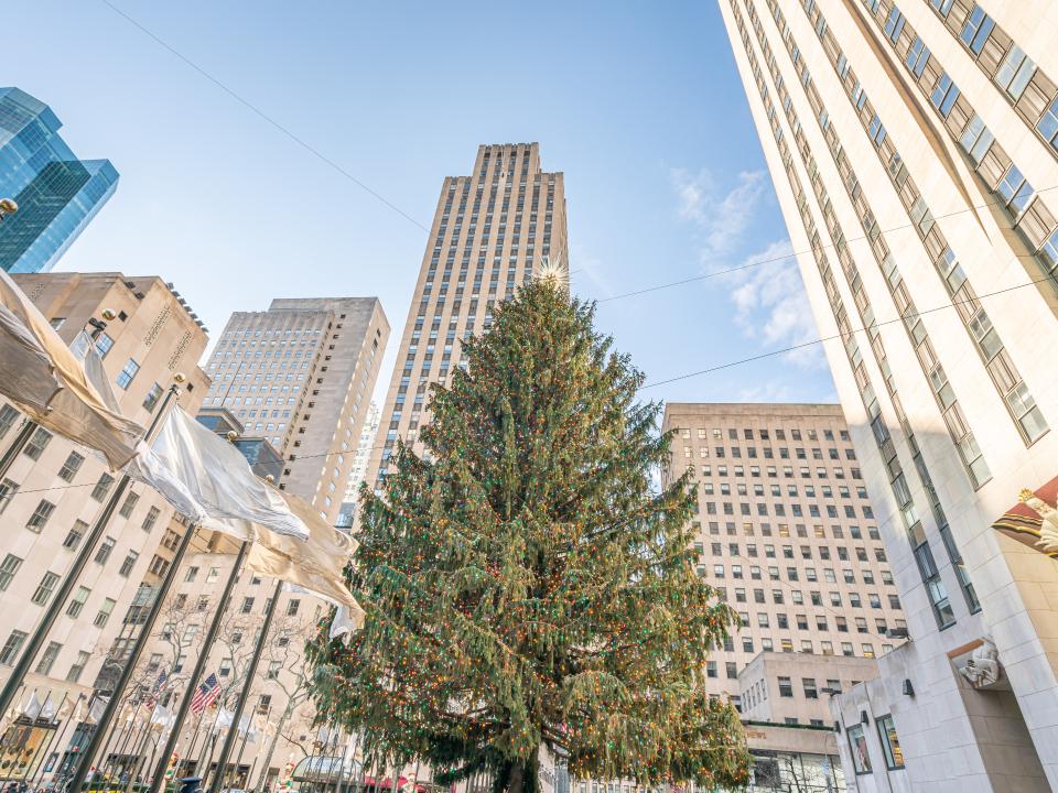 Weihnachtsbaum am Rockefeller Center in New York, umgeben von hohen Gebäuden, unter klarem Himmel.____