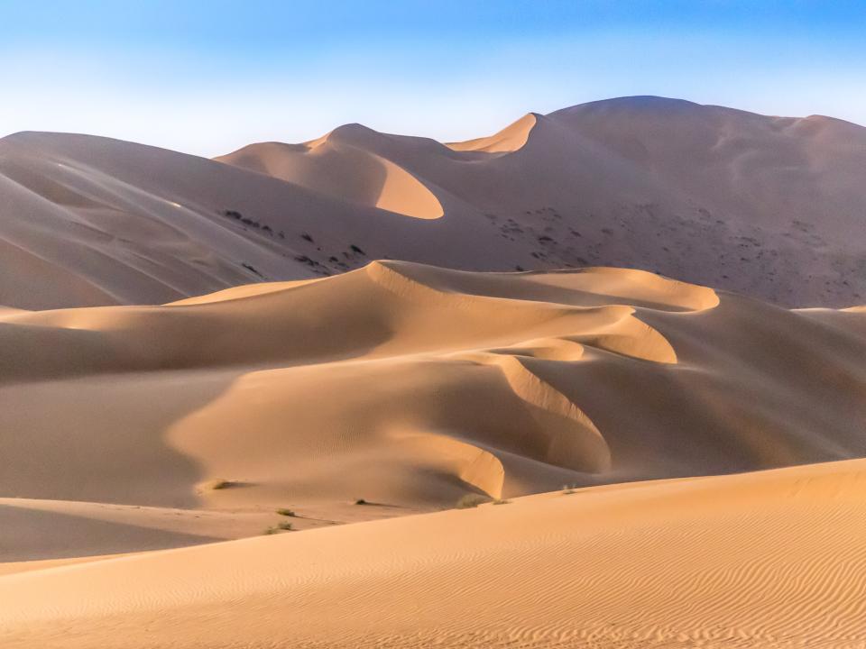 Sanddünen unter klarem Himmel mit welligen Formen und Schatten in der Wüste.____