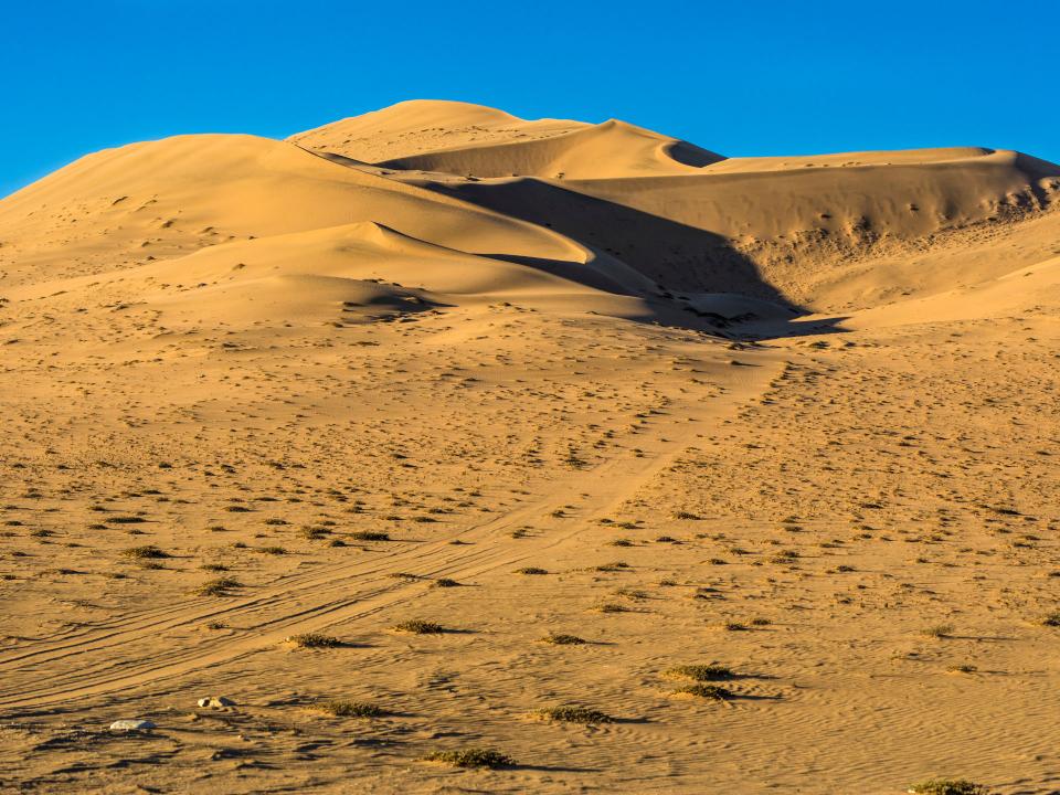 Sanddünen mit Reifenspuren und Vegetation unter strahlend blauem Himmel.____
