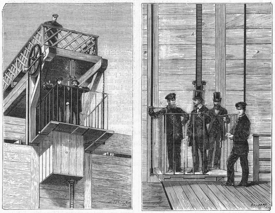 Foto: Adobe Stock____