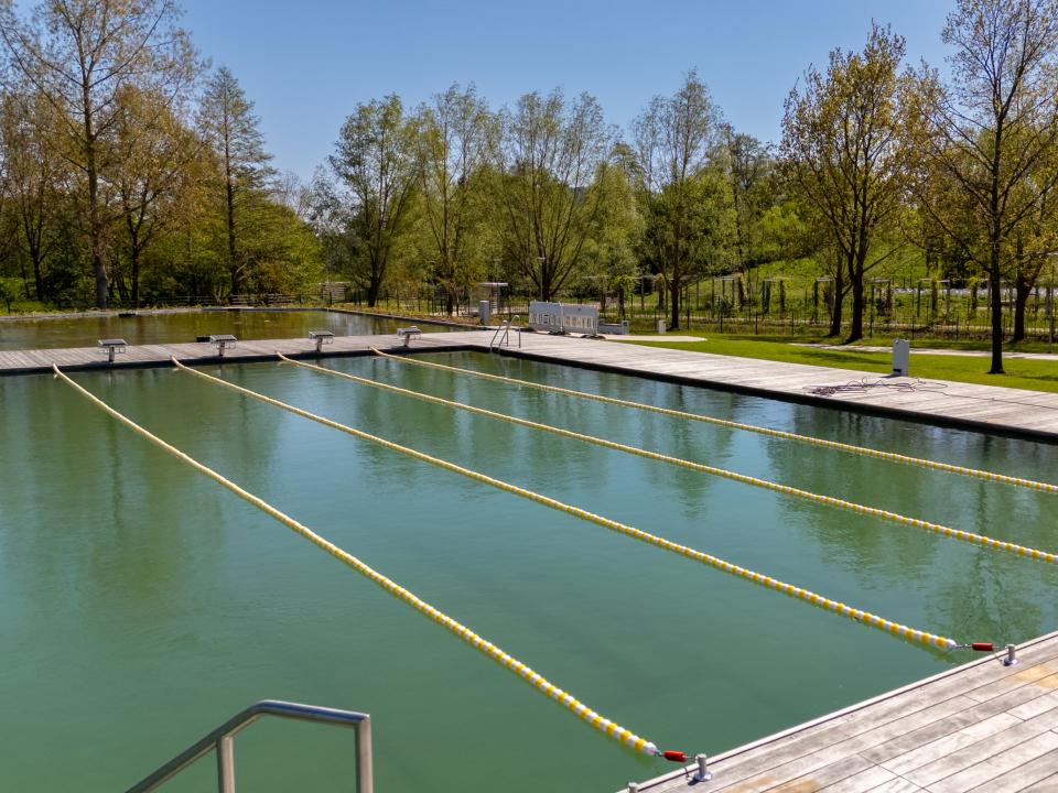 Freibad mit klar getrennten Schwimmbahnen, Holzumrandung und Bäumen im Hintergrund bei Sonnenschein.____