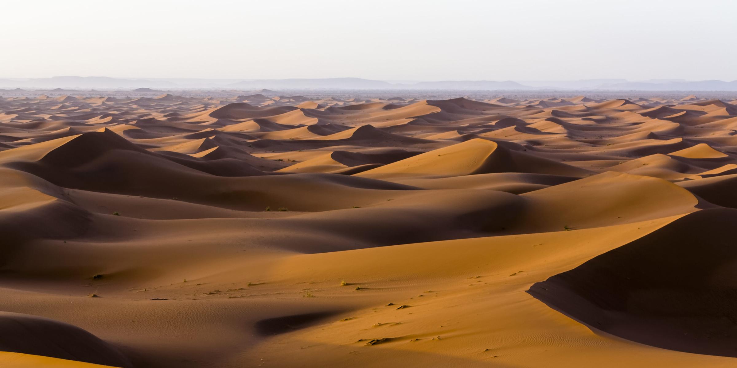 Größte Wüsten der Welt: Top 5 der kargen Landschaften