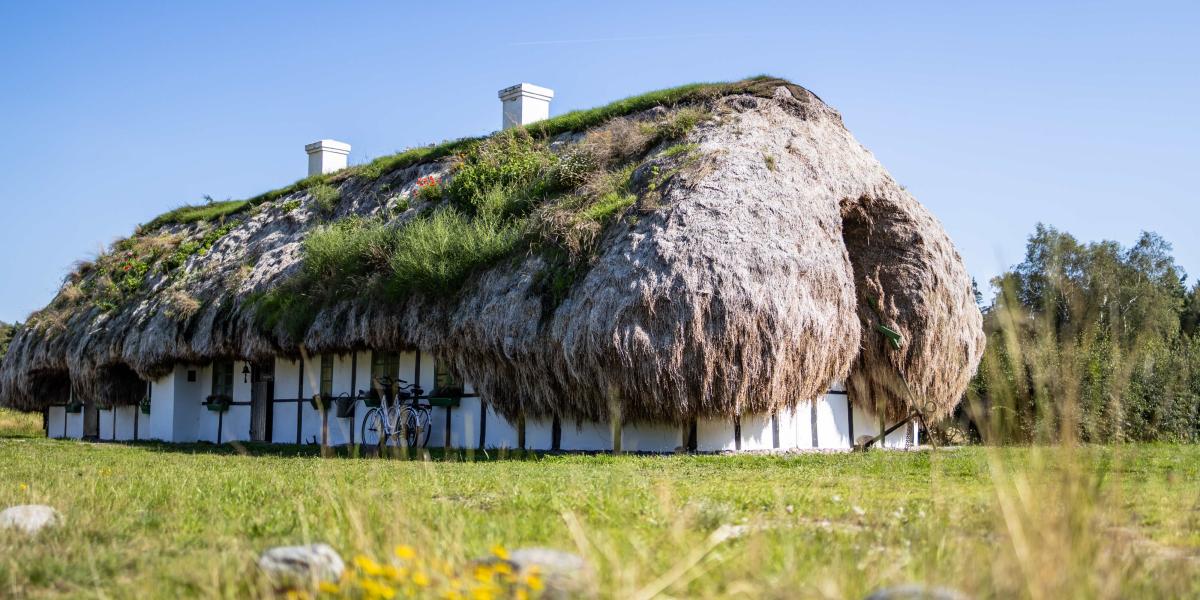 Traditionelles Reetdachhaus mit grasbedecktem Dach in grüner Landschaft unter blauem Himmel.