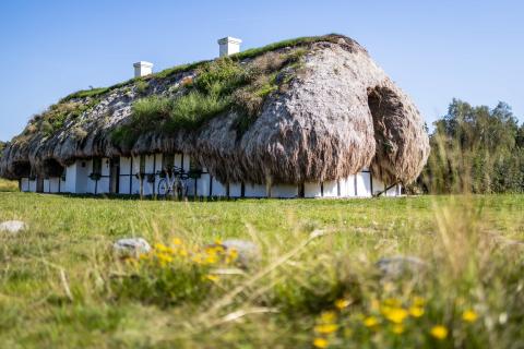 Traditionelles Reetdachhaus mit grasbedecktem Dach in grüner Landschaft unter blauem Himmel.