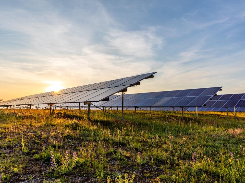 Solarpark bei Sonnenuntergang, Solarmodule auf grüner Wiese, reflektieren Licht vor blauem Himmel.____