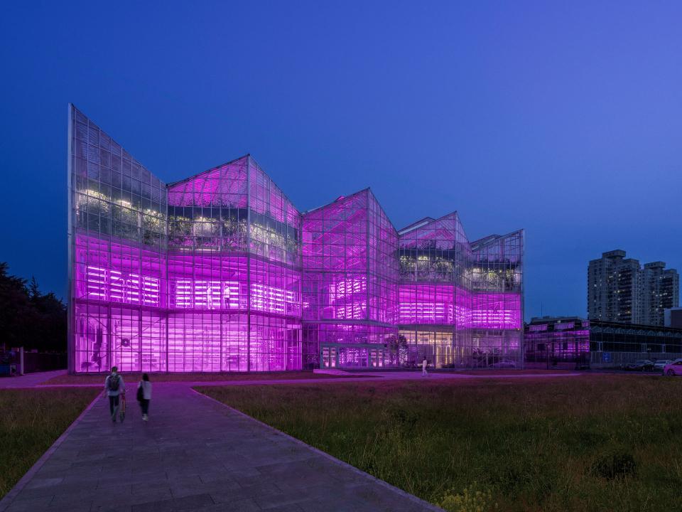 Nachts leuchtendes Gewächshaus mit pinken LED-Lichtern, umgeben von Stadtgebäuden.____