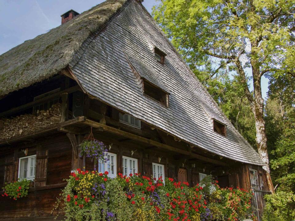 Historisches Schwarzwaldhaus mit Walmdach und bunten Blumenkästen unter den Fenstern in ländlicher Umgebung____