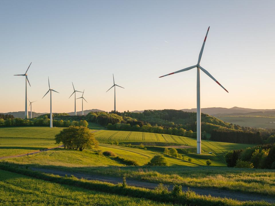 Windkraftanlagen erzeugen erneuerbare Energie in einer grünen Landschaft mit sanften Hügeln und klarem Himmel im Hintergrund____