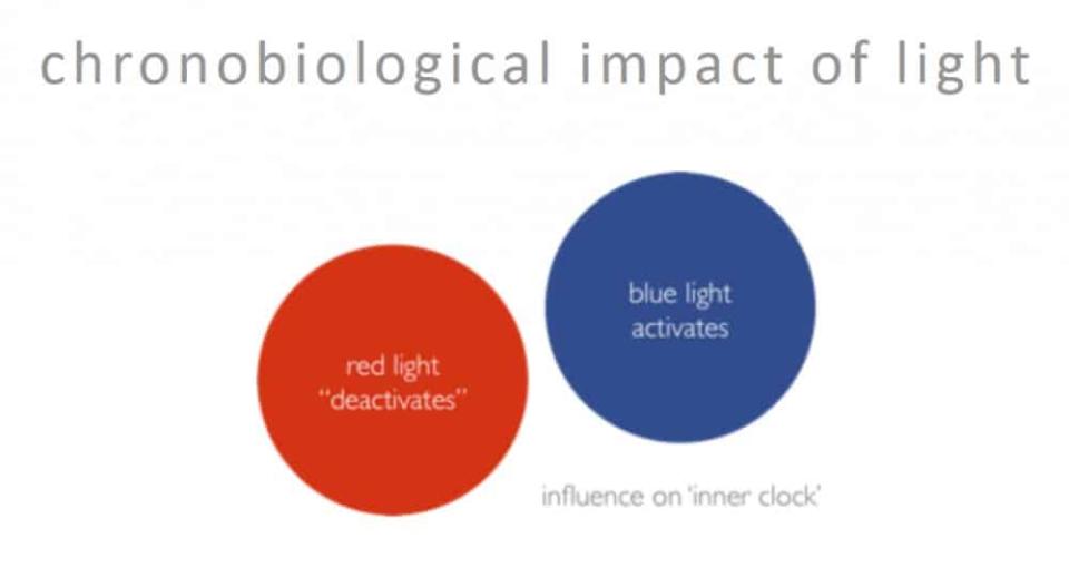 Farbiges Licht beeinflusst die biologische Uhr: rotes Licht "deaktiviert", blaues aktiviert. ____
