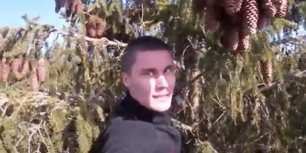 Auf dem Gipfel im Wipfel: Tree Free Climber Benjamin Egelhofes. © Youtube