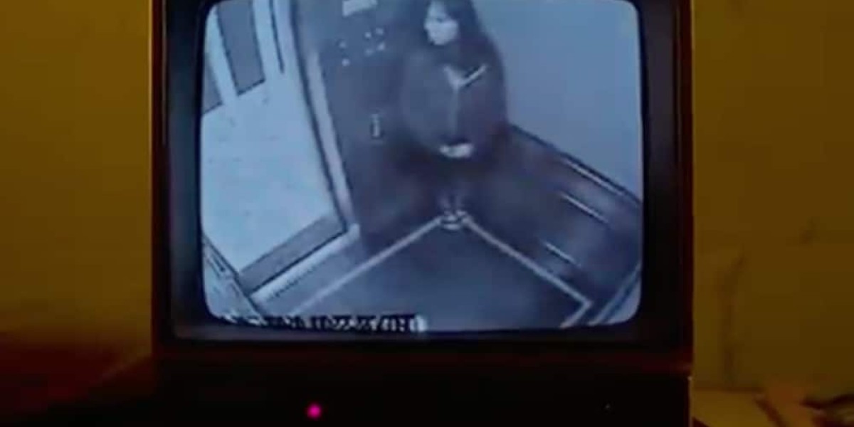 Die junge Frau im Fahrstuhl ist Elisa Lam. © Youtube